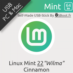 Clé USB Linux Mint 22 Wilma Préparée Bootable