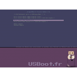 Clé USB MultiBoot live-test et installation Linux Mint et Ubuntu