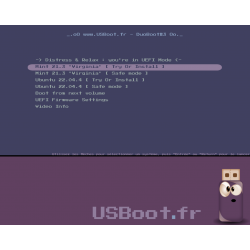 Clé USB MultiBoot live-test et installation Linux Mint et Ubuntu