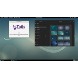 Clé USB Linux Bootable Tails 6.6 Navigation TOR