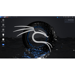 Clé USB Kali Linux 2024.2 Bootable avec Persistance