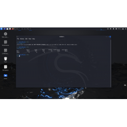 Clé USB Kali Linux 2024.2 Bootable avec Persistance