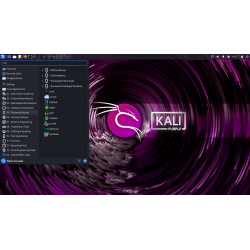 Clé USB Kali Linux 2024.2 Bootable avec Persistance