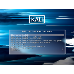 Clé USB Kali Linux 2024.2 Bootable avec Persistance