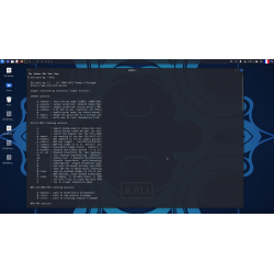 Clé USB Kali Linux 2024.2 Bootable avec Persistance